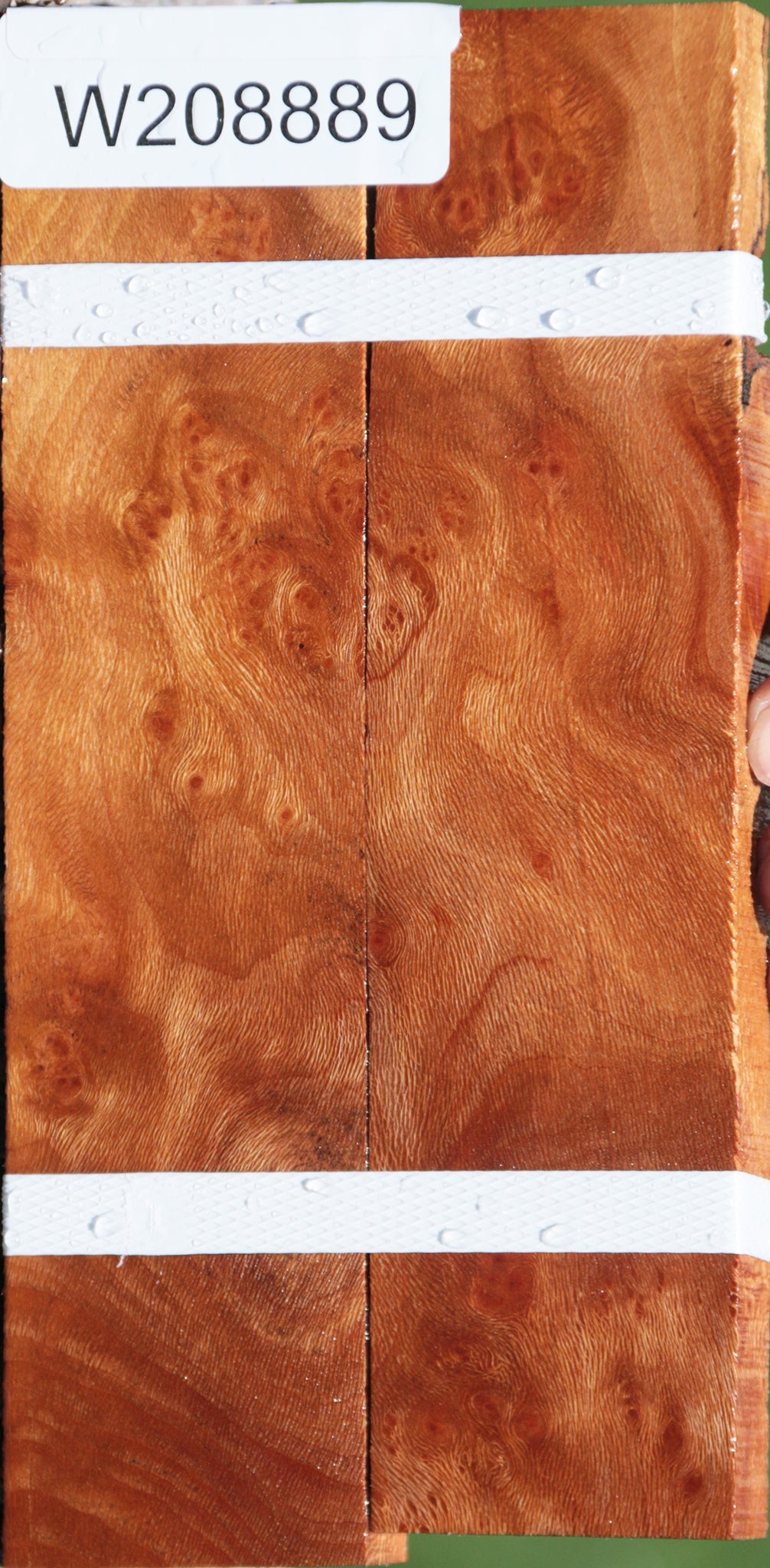 Extra Fancy Sycamore Burl Lumber 2-Pack