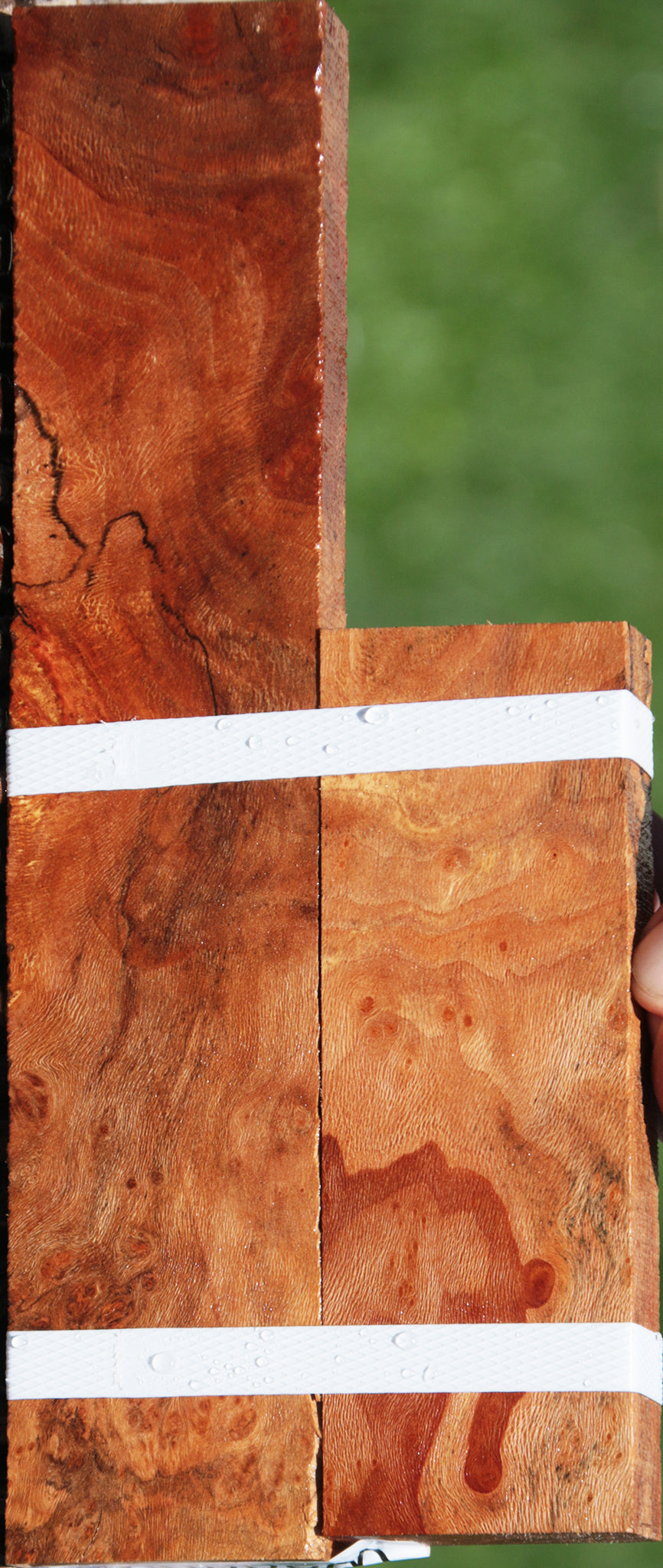 Sycamore Burl Lumber 2-Pack