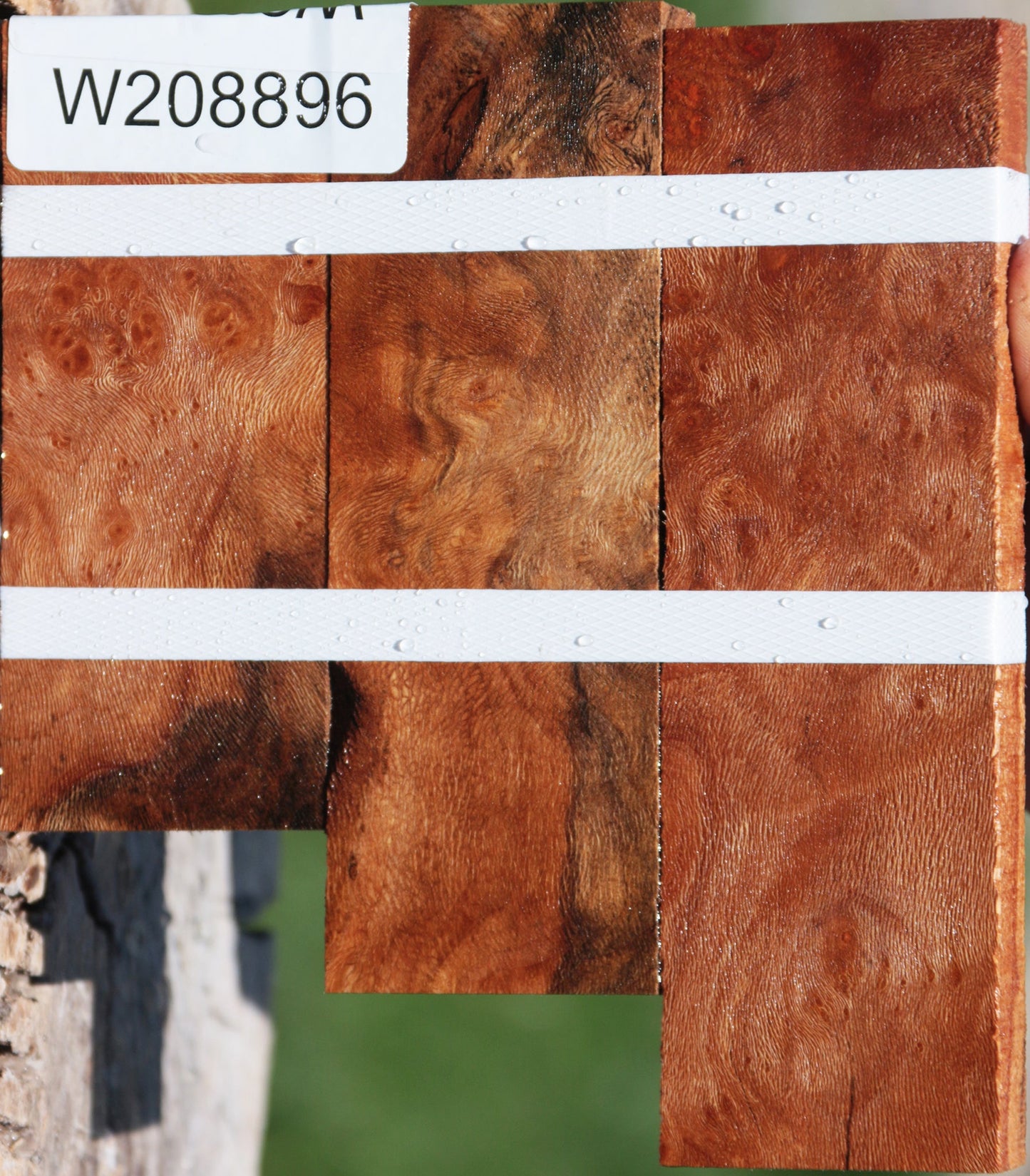 Extra Fancy Sycamore Burl Lumber 3-Pack