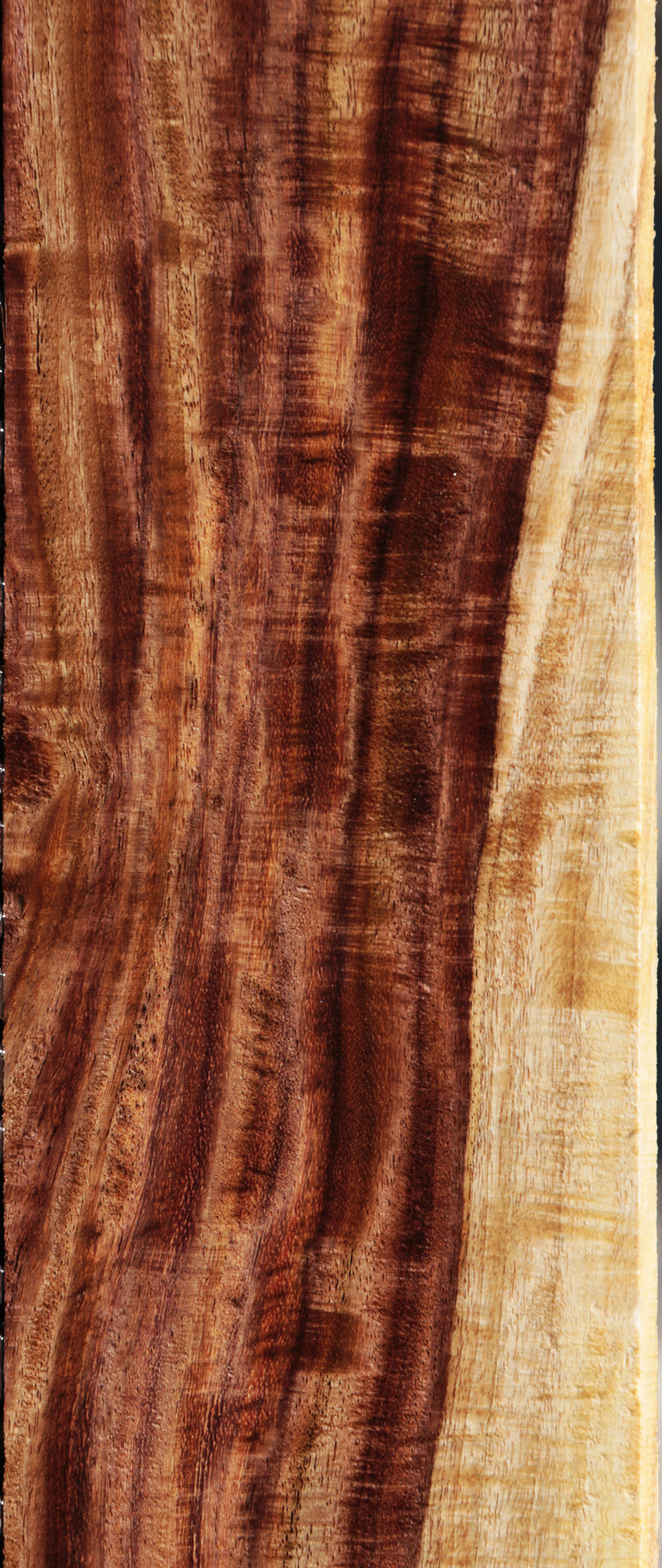 Exhibition East Indian Rosewood Micro Lumber