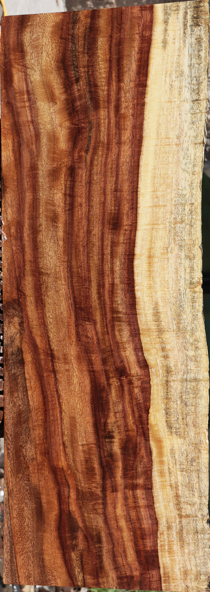 Extra Fancy East Indian Rosewood Live Edge Lumber