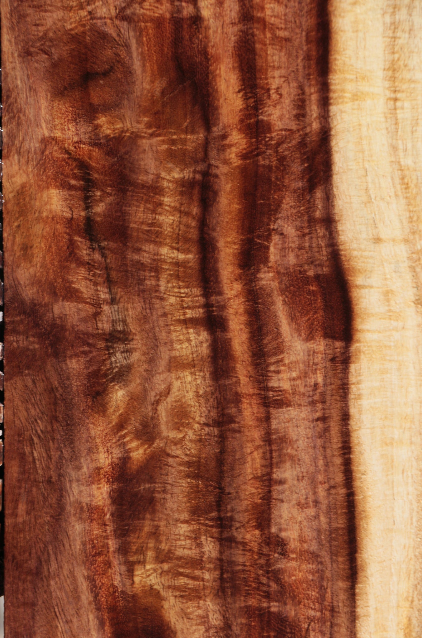 Extra Fancy East Indian Rosewood Live Edge Lumber