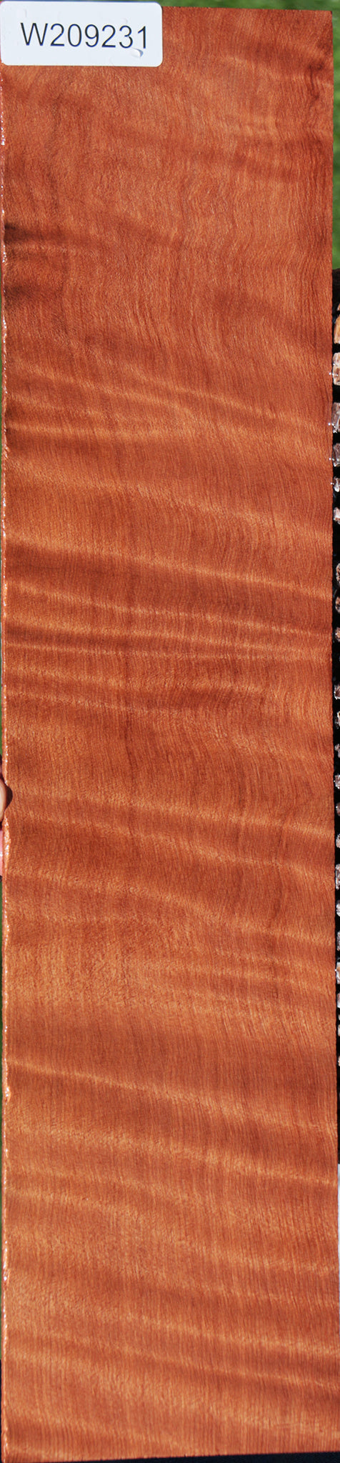 Extra Fancy Curly Redwood Micro Lumber