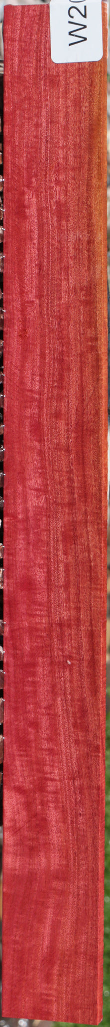 Exhibition Pink Ivory Micro Lumber