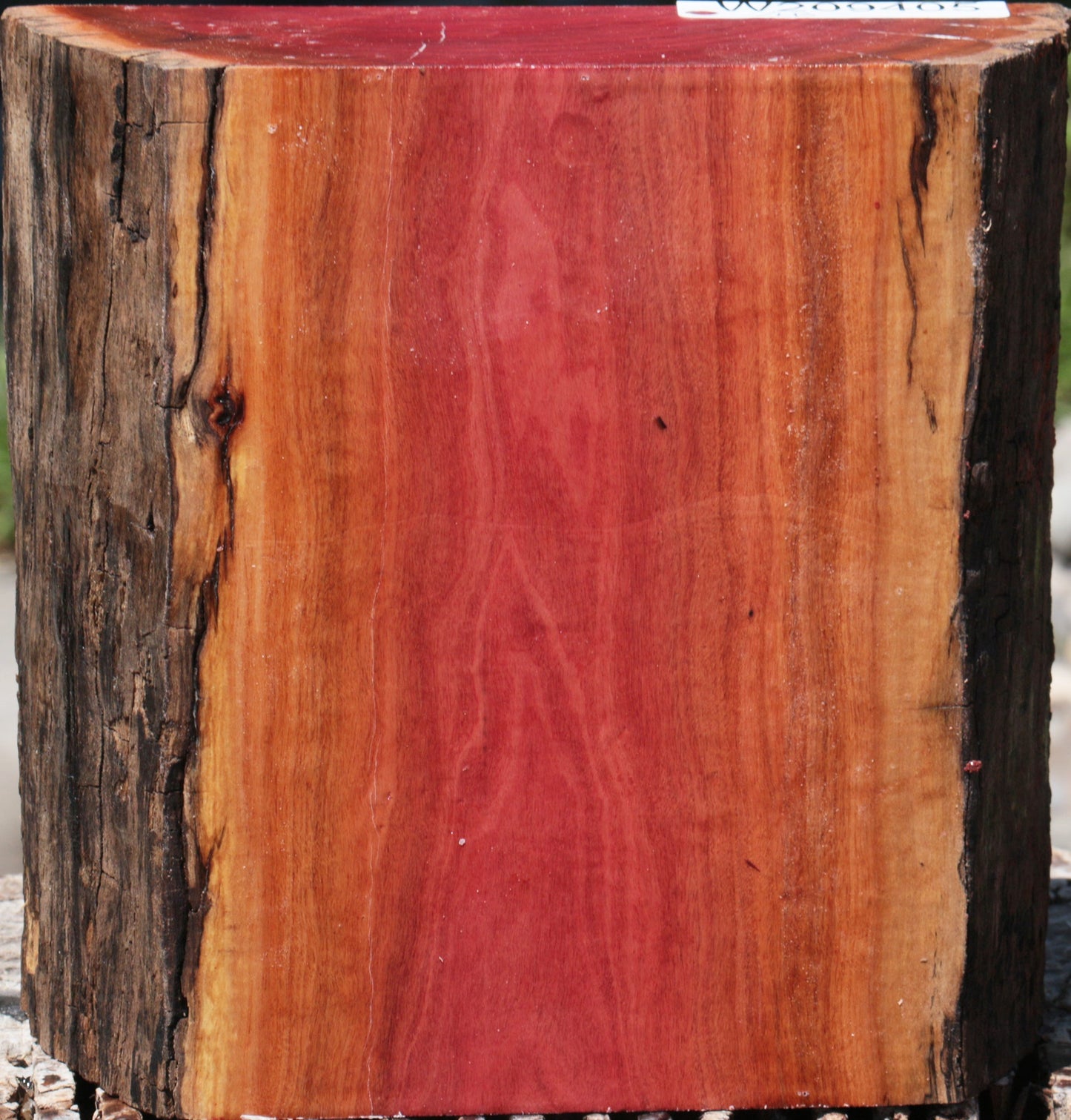 Pink Ivory Live Edge Bowl Blank