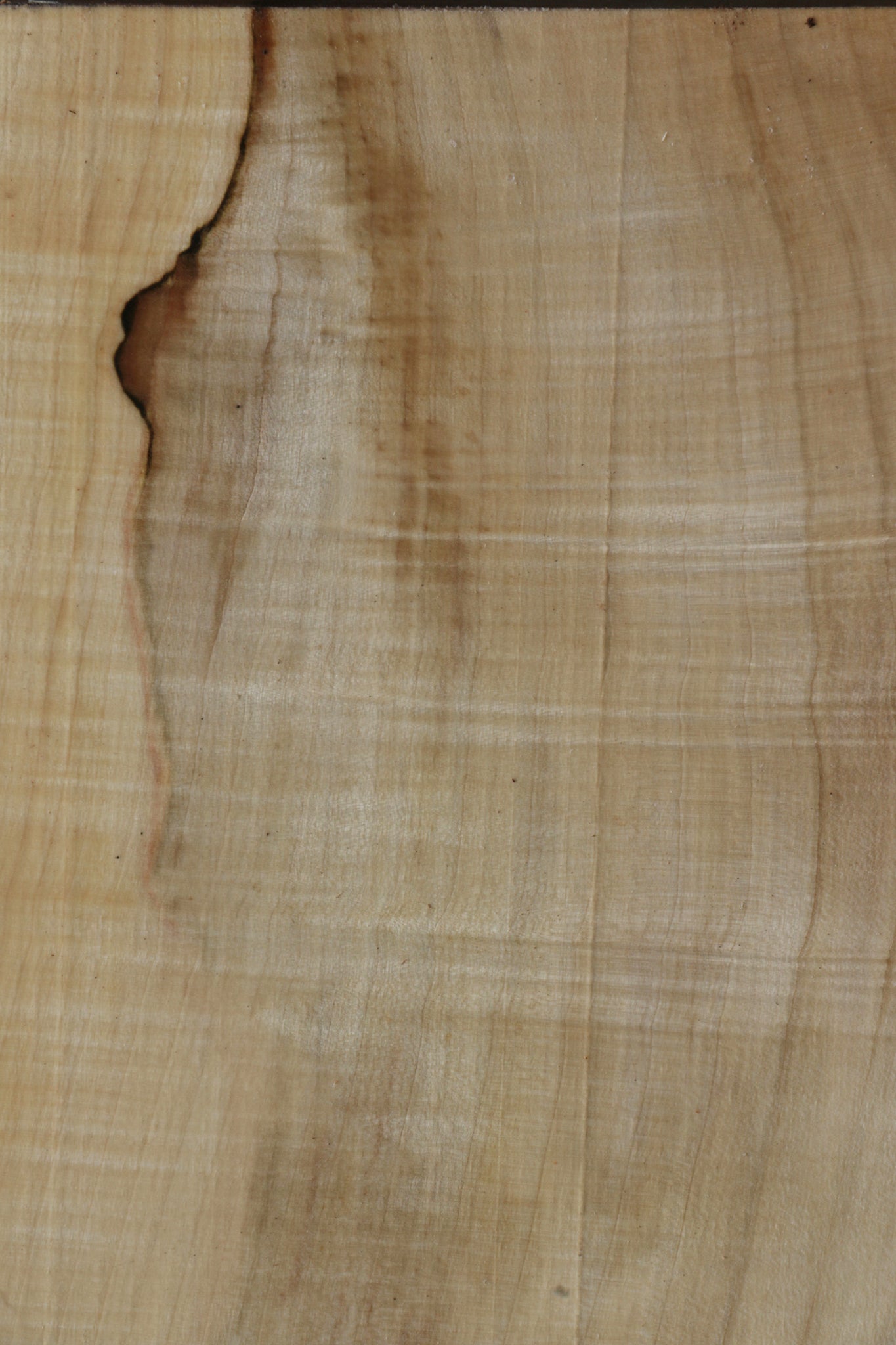 Extra Fancy Silver Maple Bowl Blank