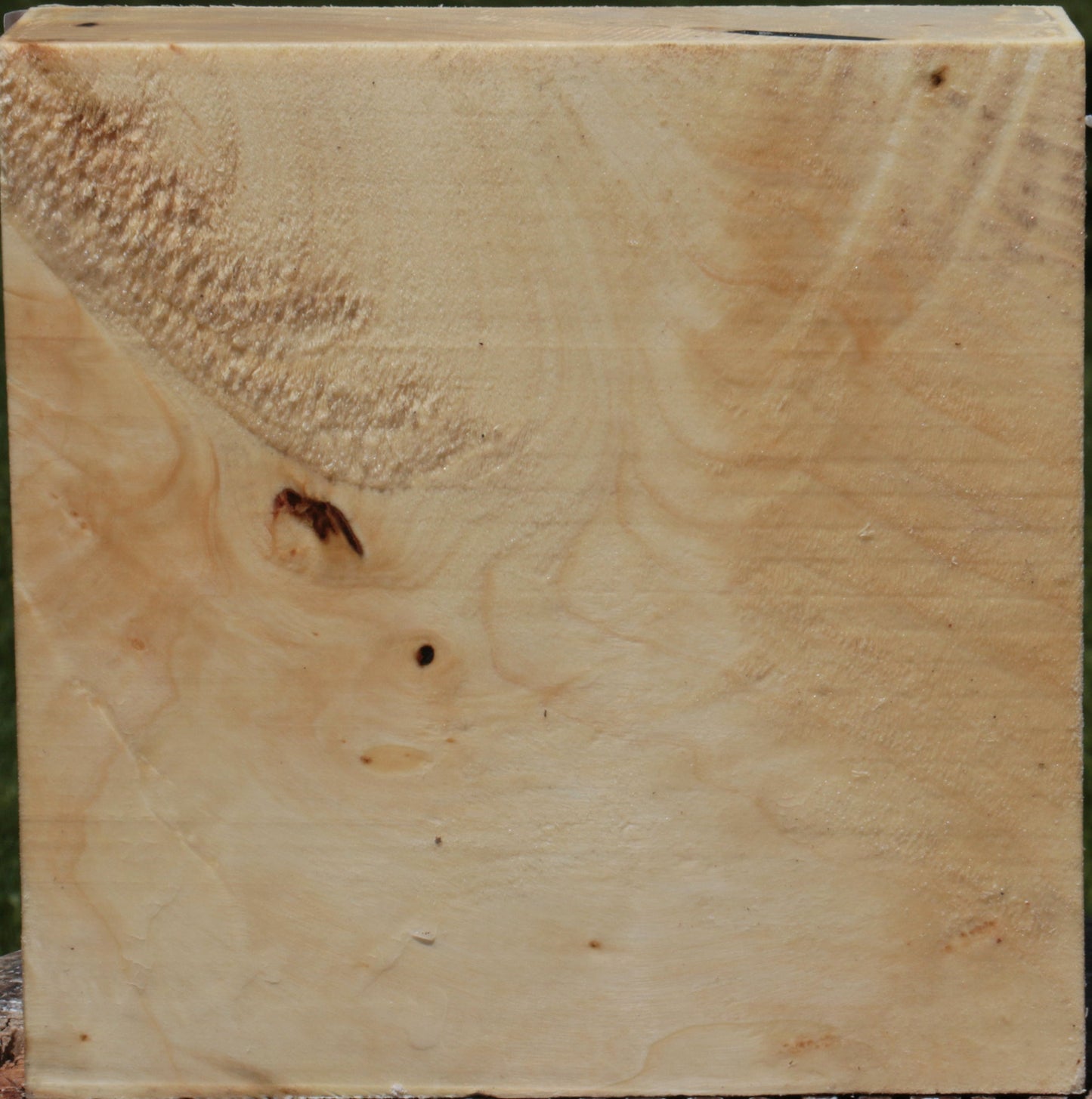 Figured Silver Maple Bowl Blank