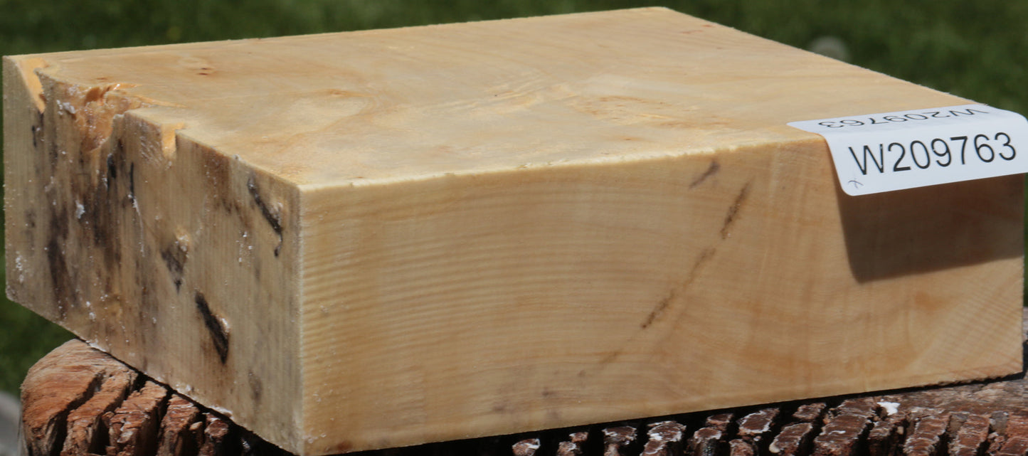 Figured Silver Maple Bowl Blank