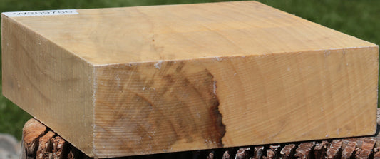 Extra Fancy Silver Maple Bowl Blank