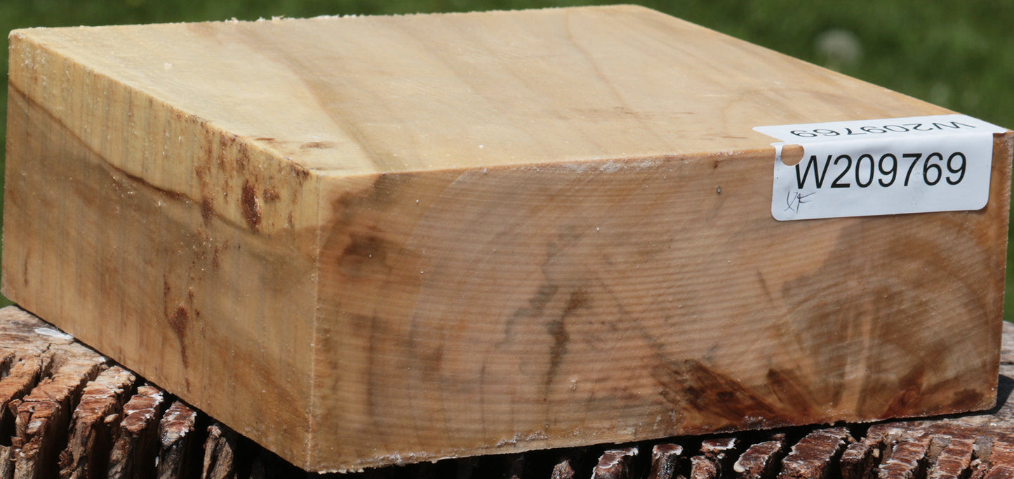 Extra Fancy Silver Maple Bowl Blank