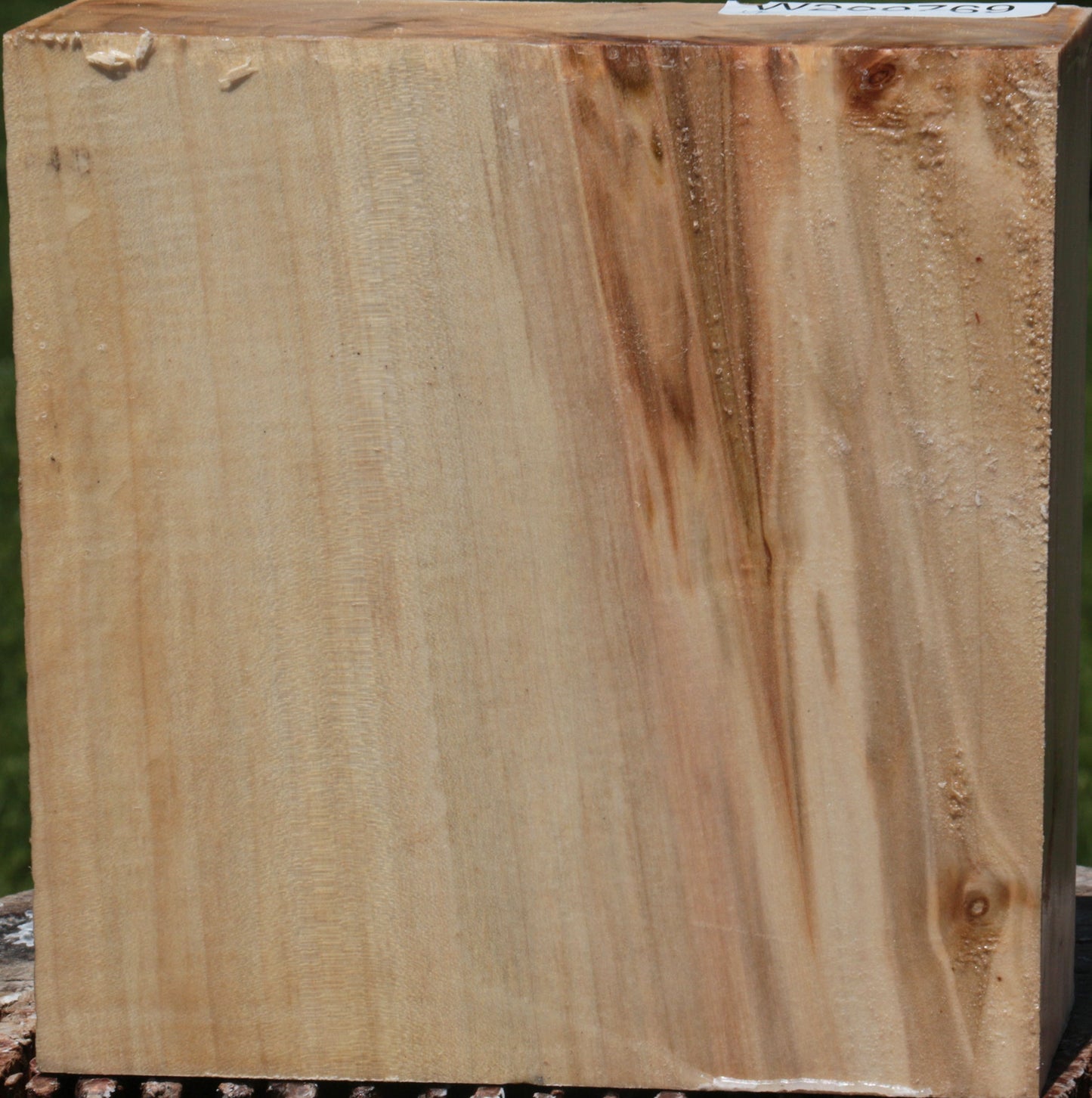 Extra Fancy Silver Maple Bowl Blank