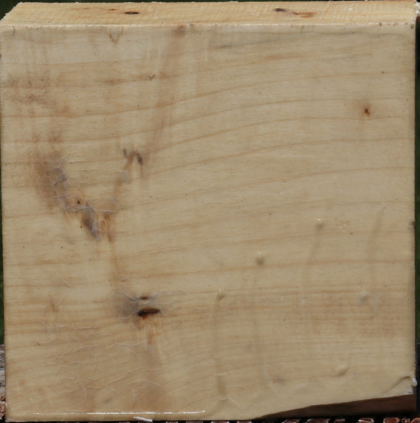 Extra Fancy Silver Maple Bowl Blank