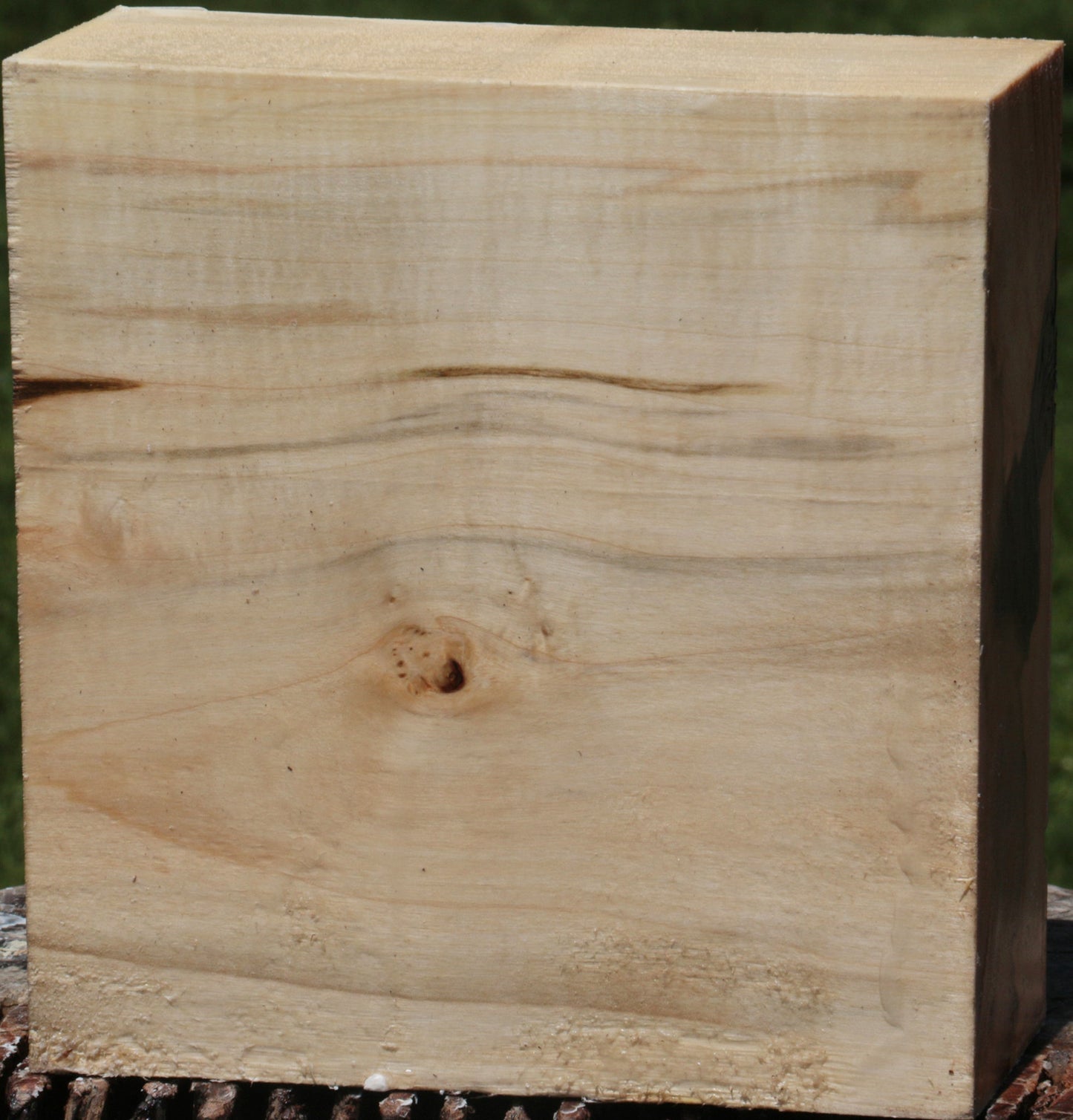 Extra Fancy Silver Maple Bowl Blank