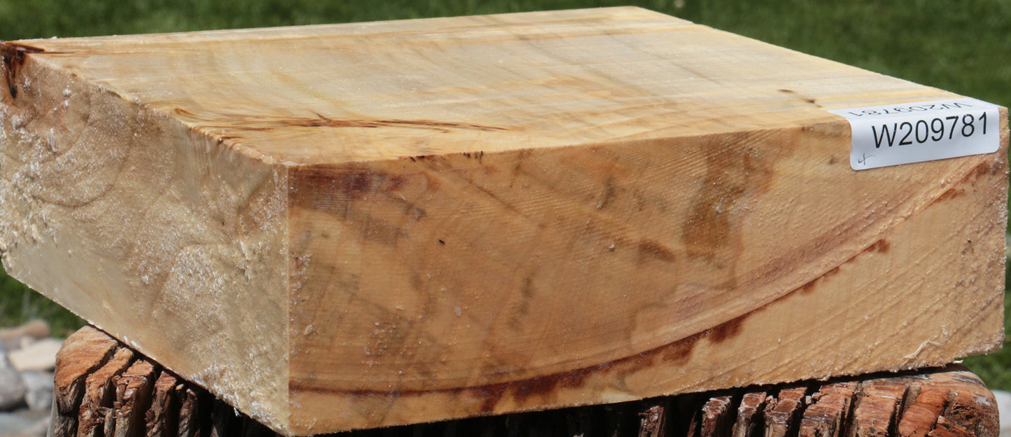 Extra Fancy Silver Maple Bowl Blank