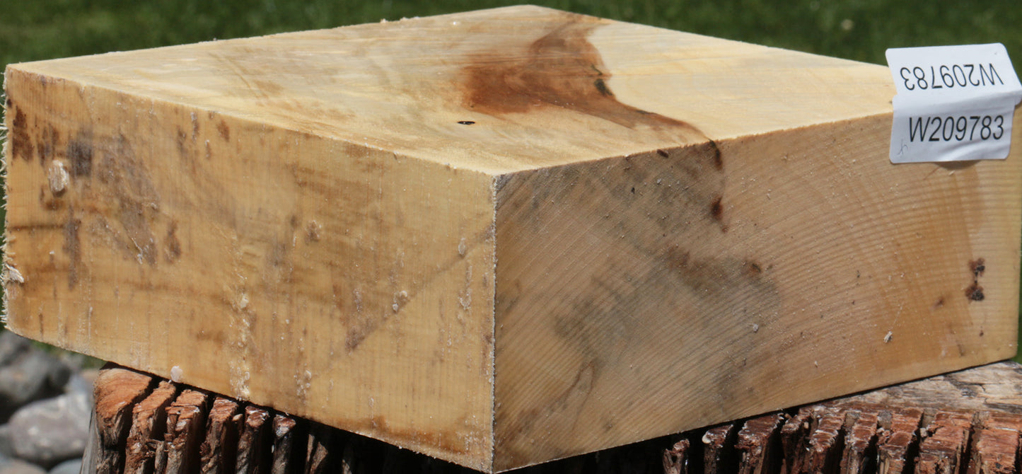 Extra Fancy Silver Maple Bowl Blank