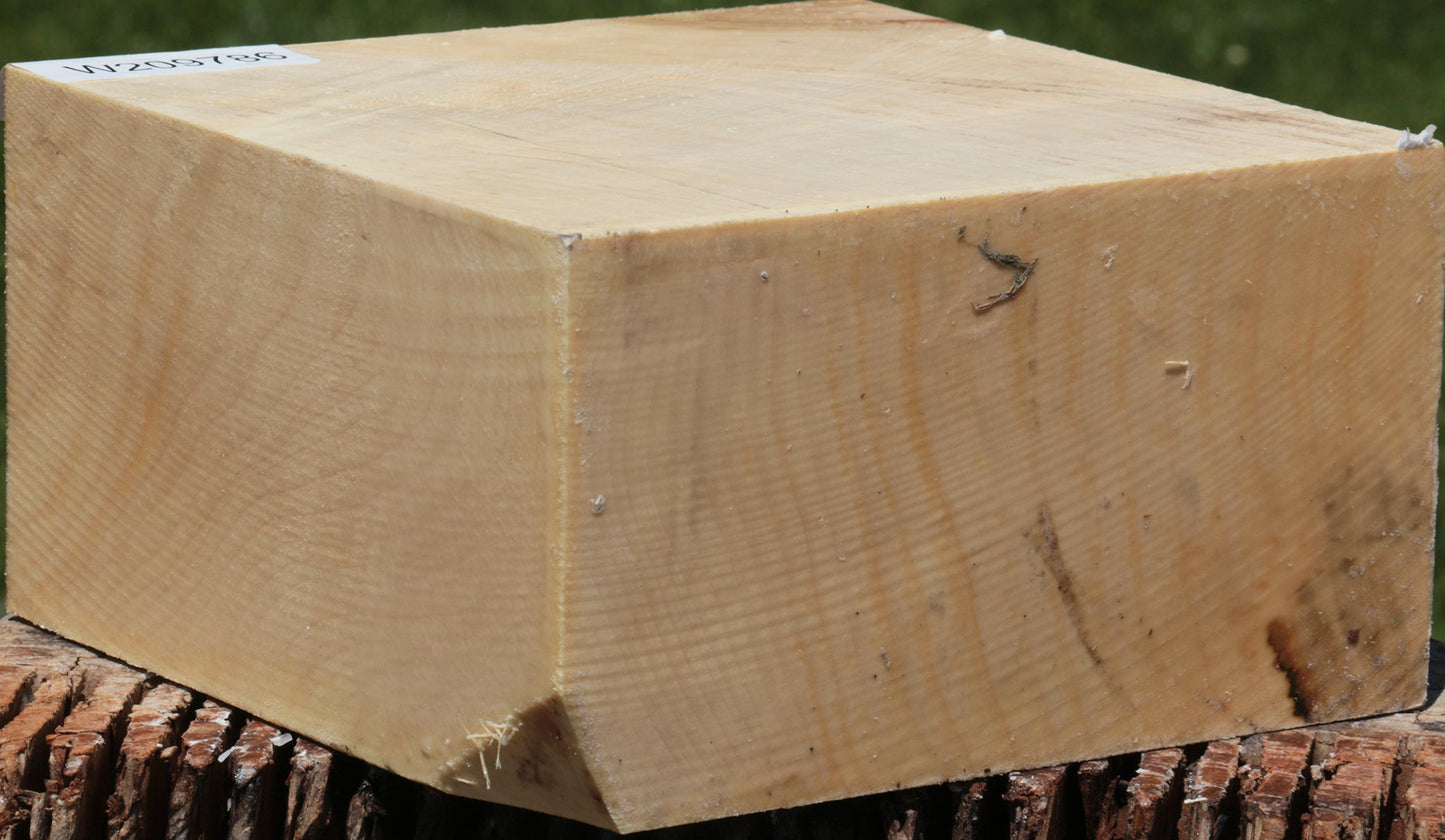 Extra Fancy Silver Maple Bowl Blank