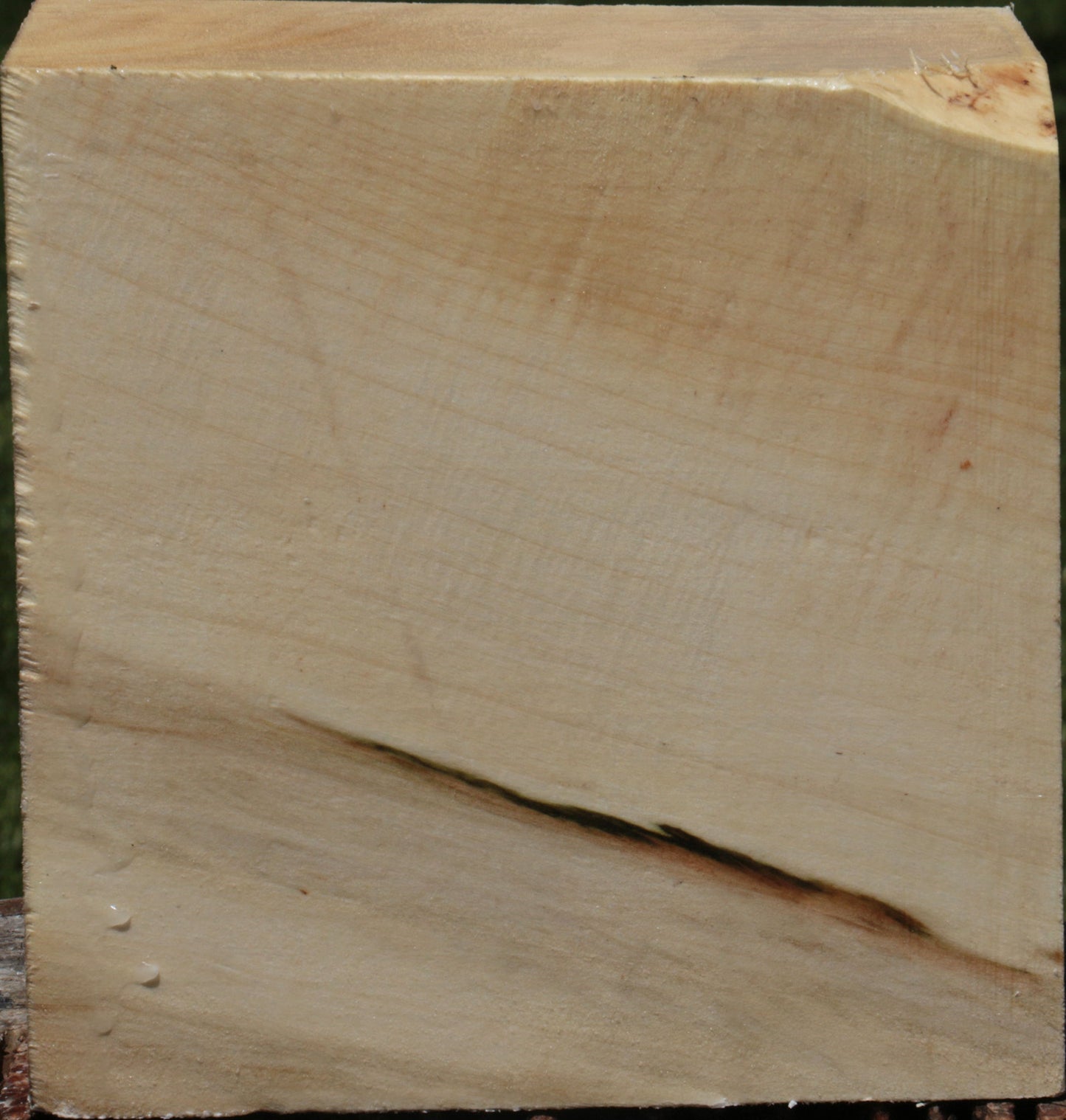 Extra Fancy Silver Maple Bowl Blank