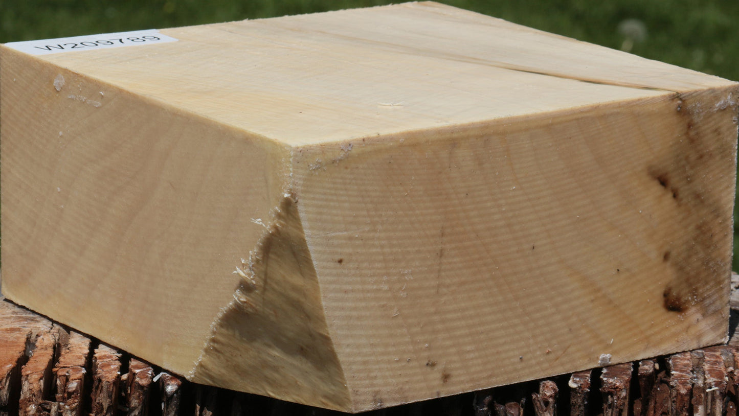 Extra Fancy Silver Maple Bowl Blank