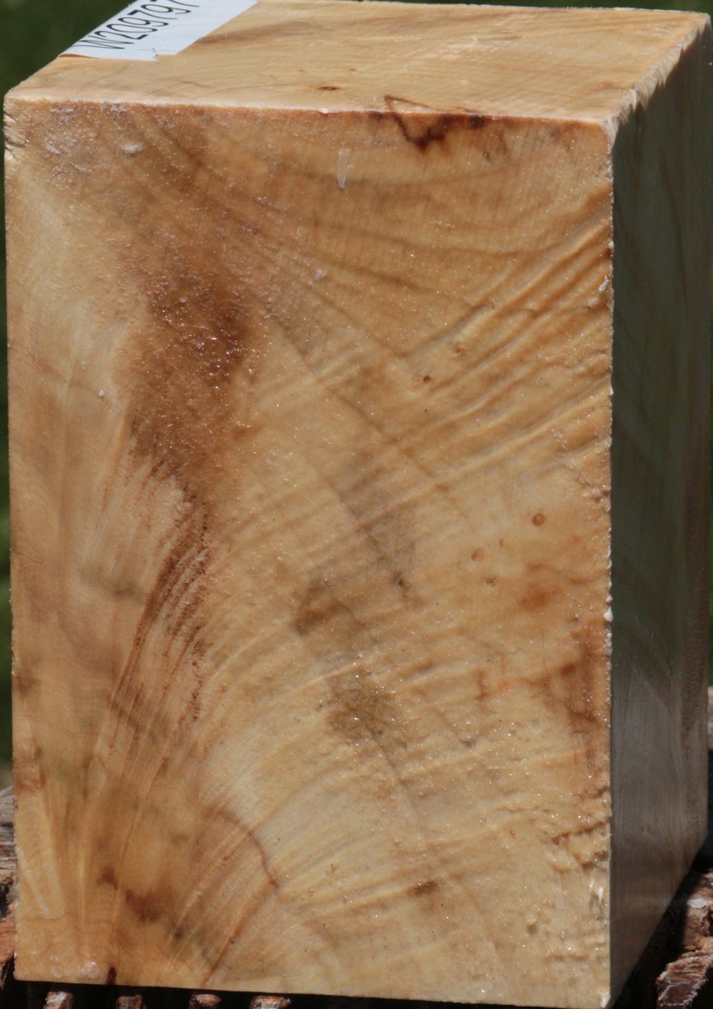 Extra Fancy Silver Maple Bowl Blank