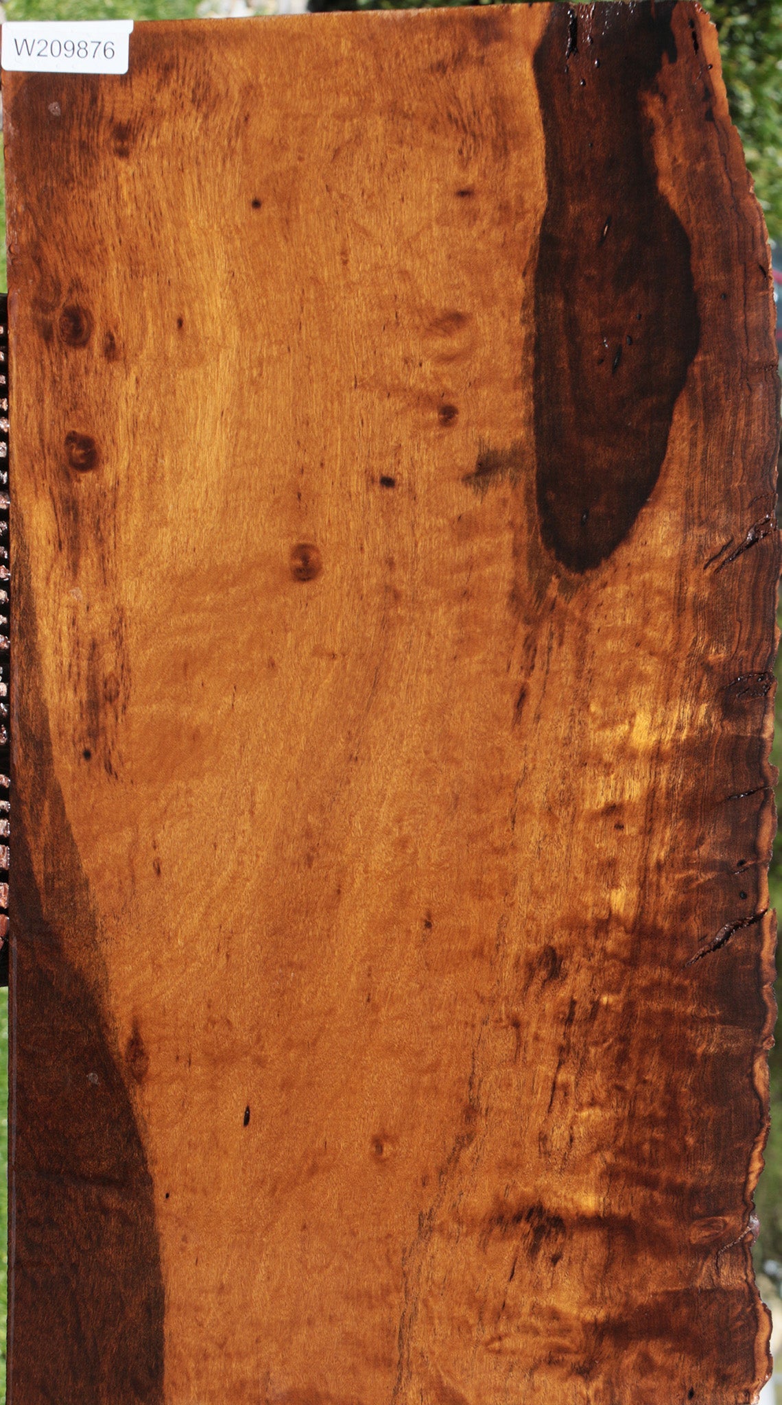 Figured Imbuia Live Edge Lumber