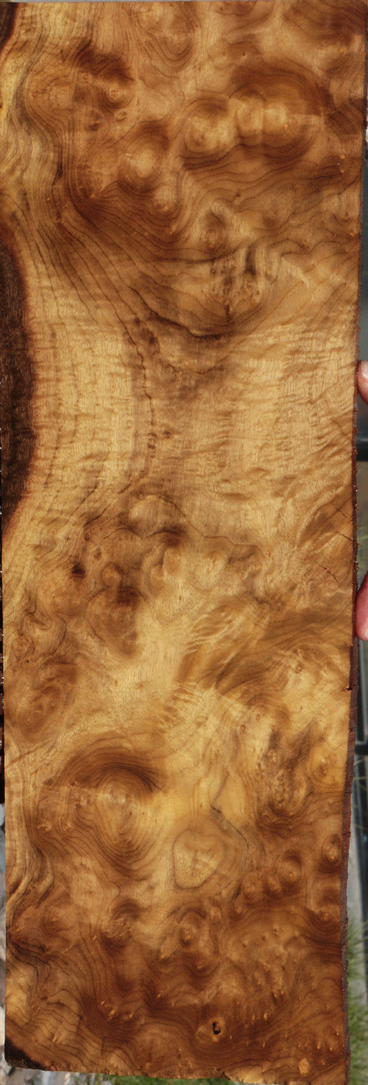 Myrtle Burl Instrument Lumber