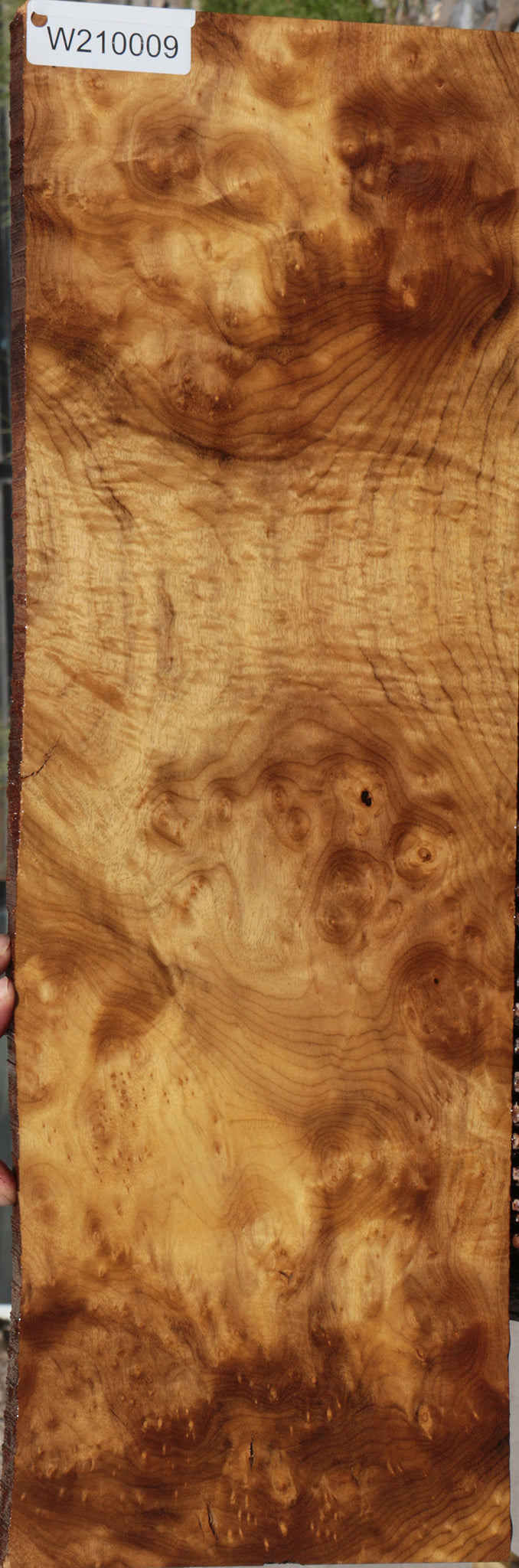 Myrtle Burl Instrument Lumber