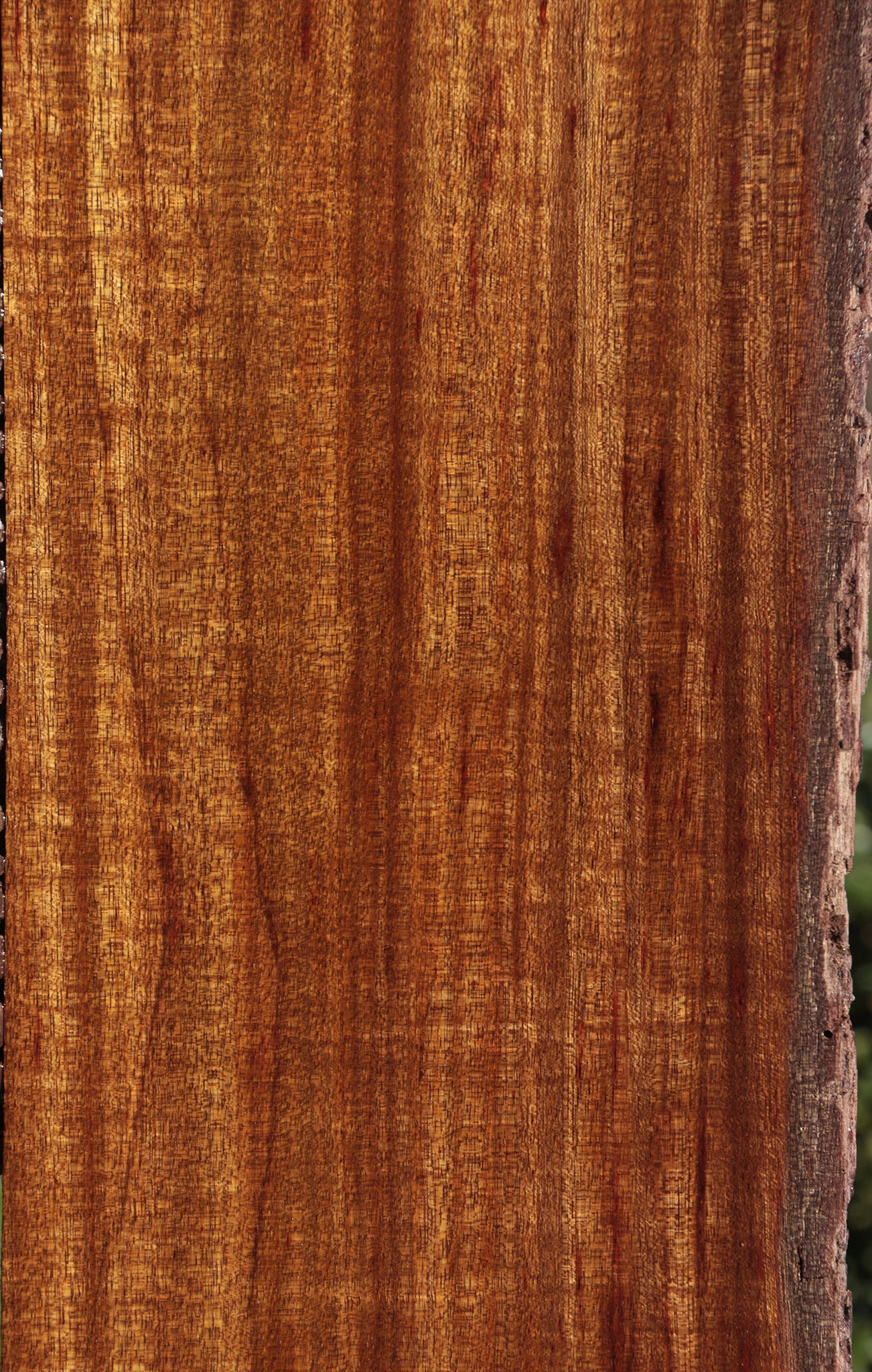 Figured Angelique Live Edge Lumber