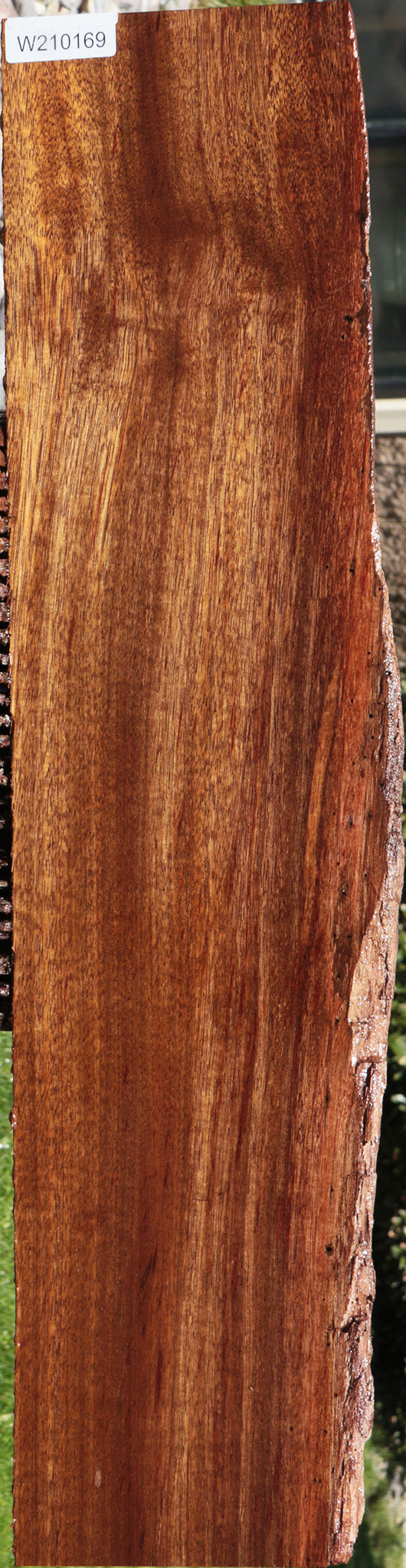 Angelique Live Edge Lumber