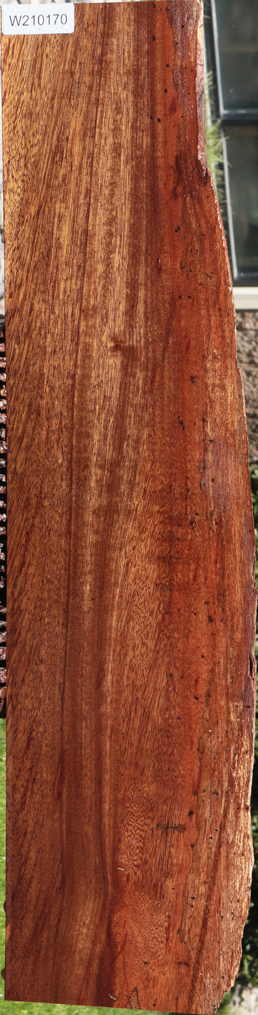 Angelique Live Edge Lumber