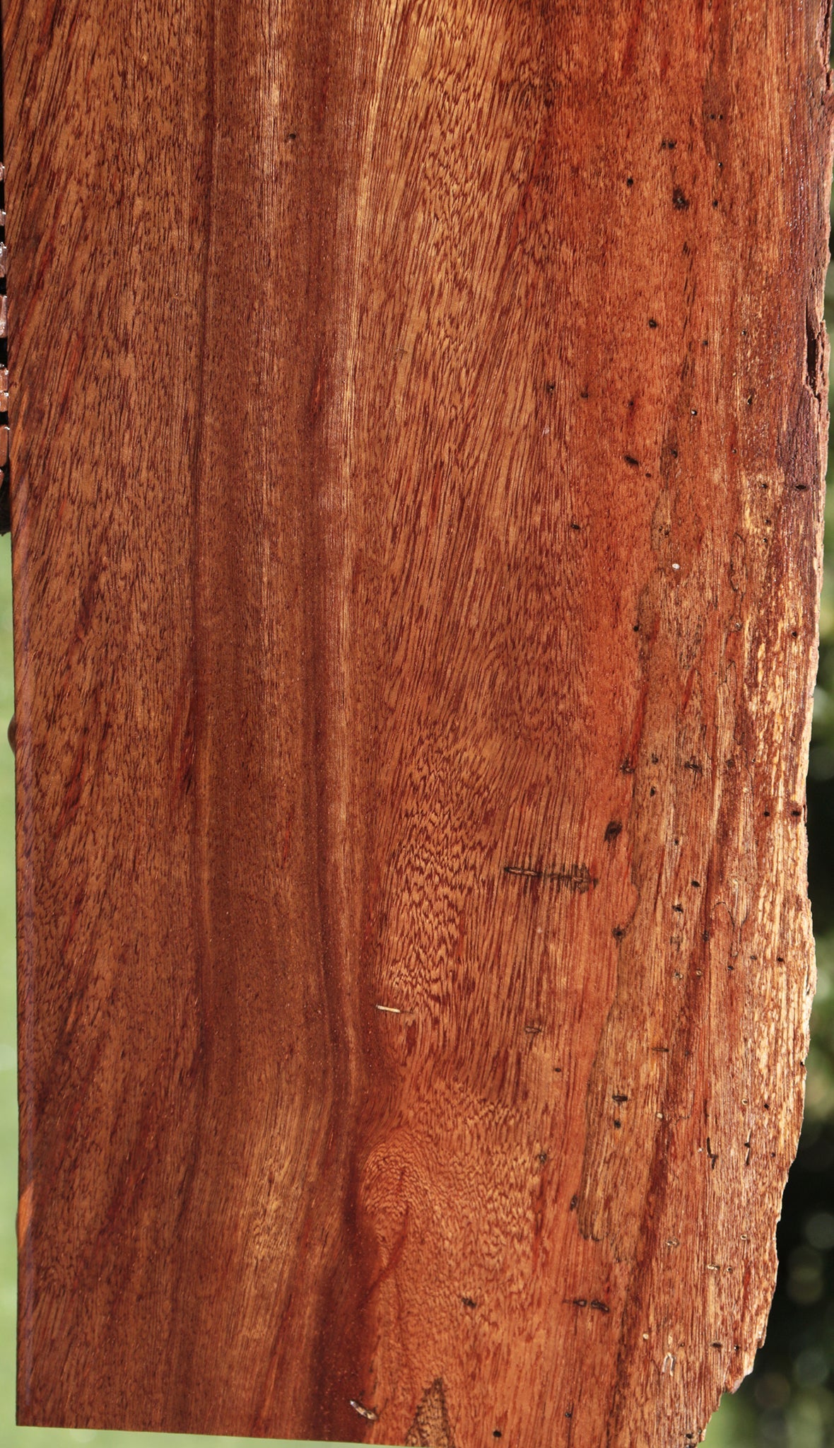 Angelique Live Edge Lumber