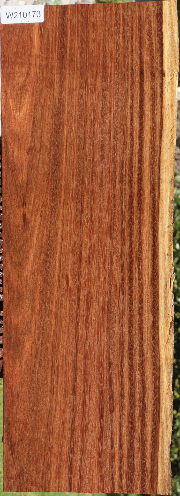 Sucupira Live Edge Lumber