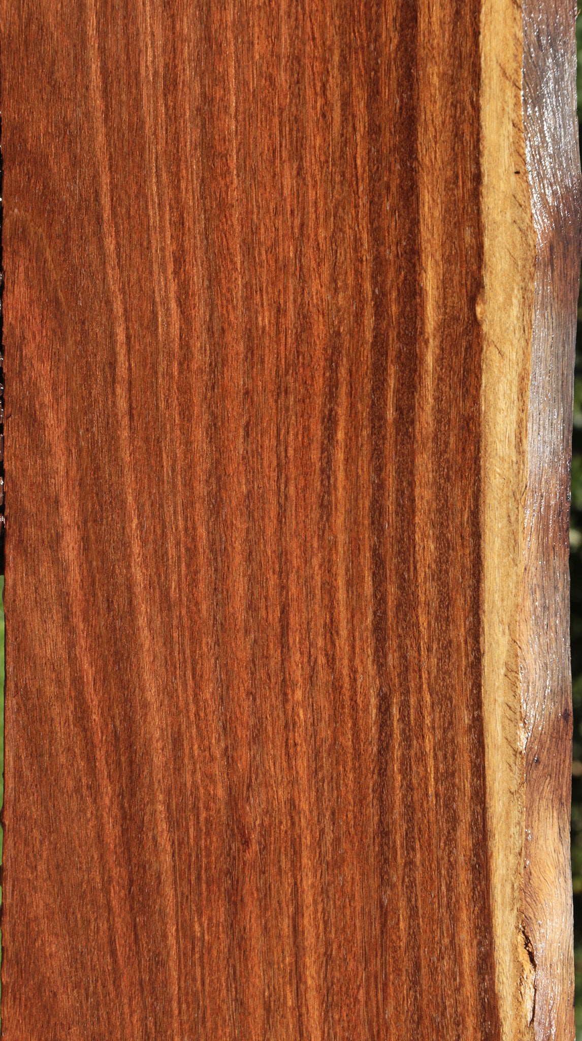 Sucupira Live Edge Lumber