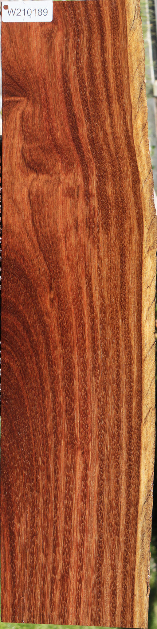 Sucupira Live Edge Lumber