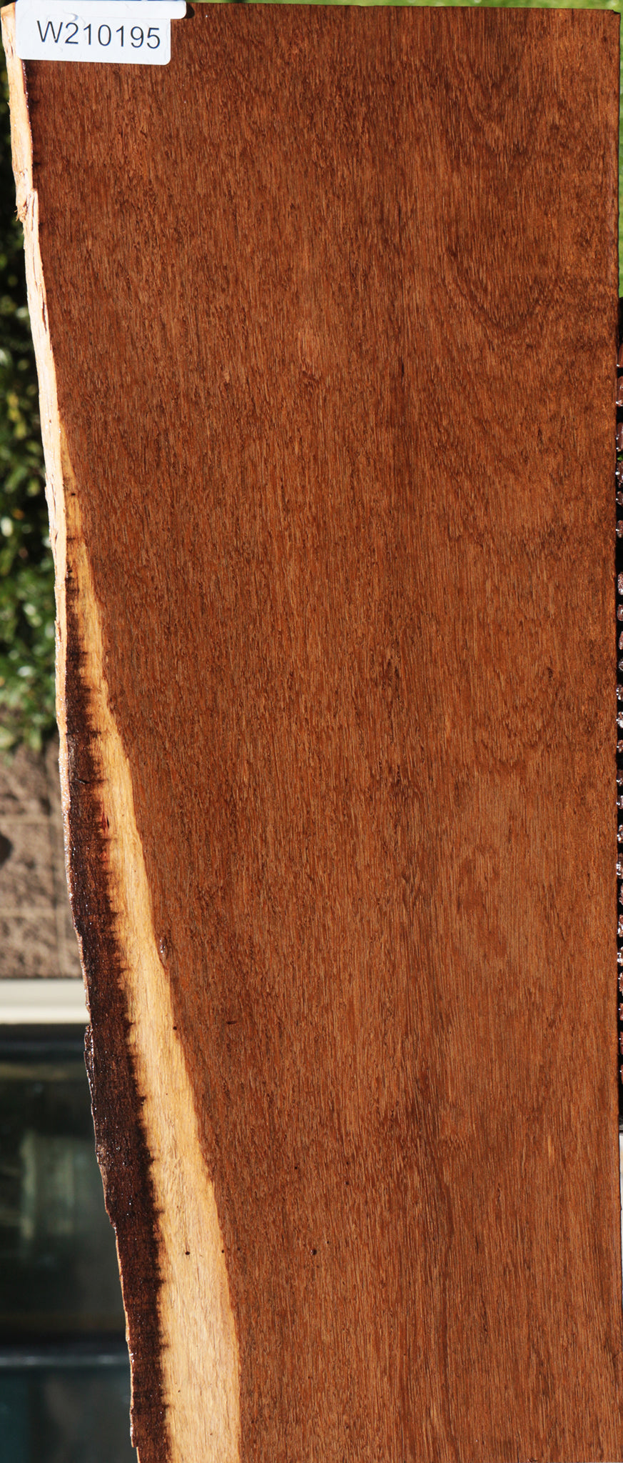 Sucupira Live Edge Lumber