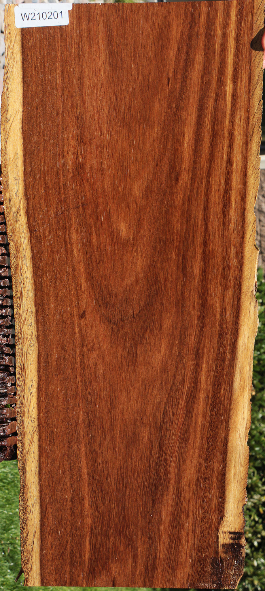 Sucupira Live Edge Lumber