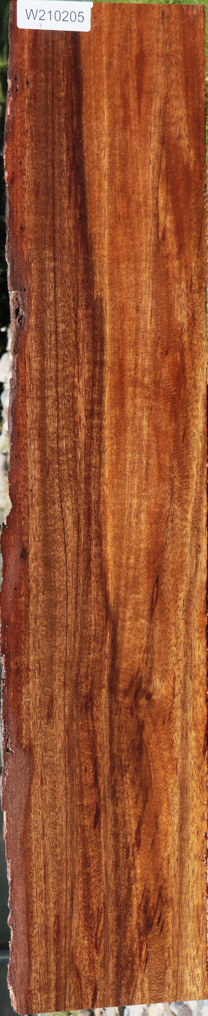 Angelique Live Edge Lumber