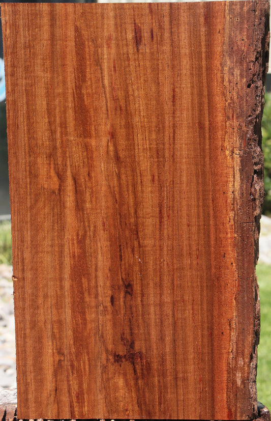 Angelique Live Edge Lumber