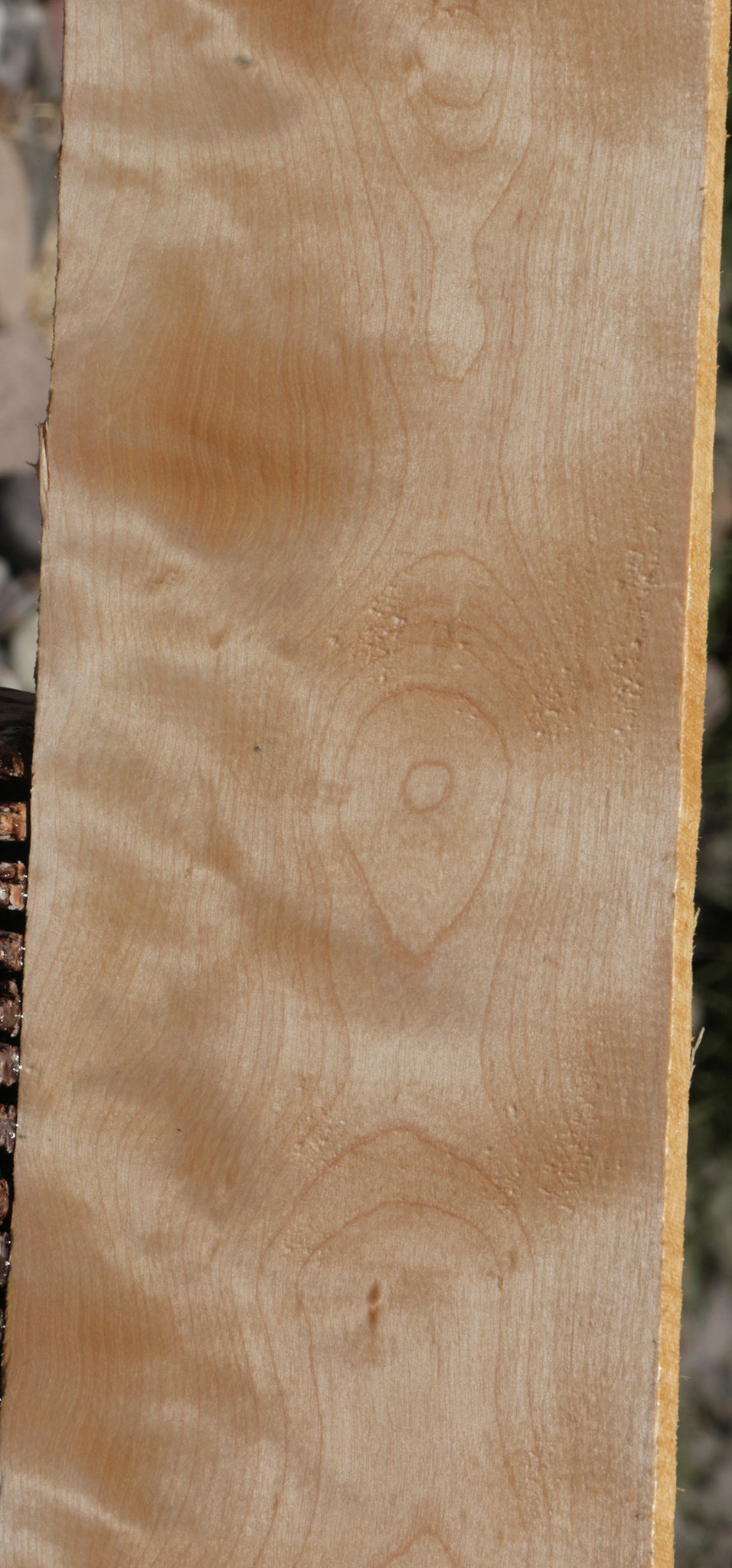 Curly Birch Lumber