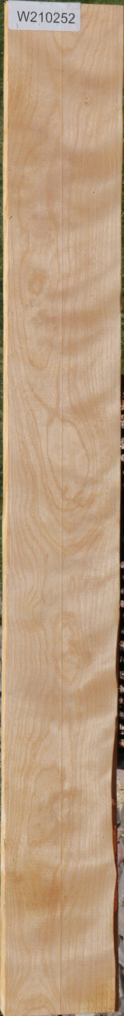 Curly Birch Lumber