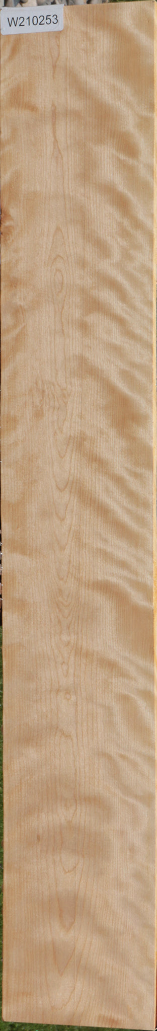 Extra Fancy Curly Birch Lumber