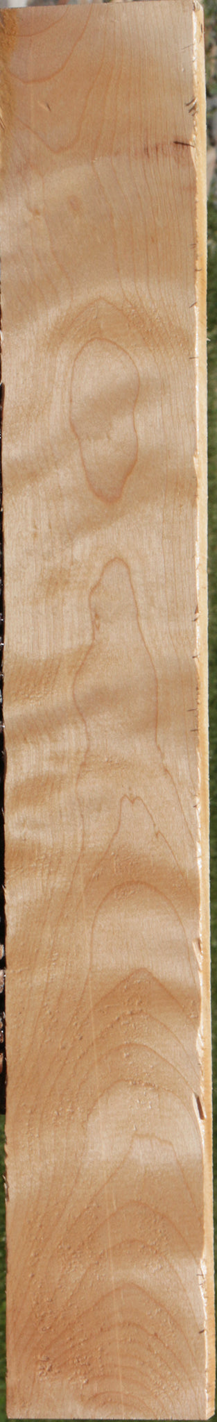 Curly Birch Lumber