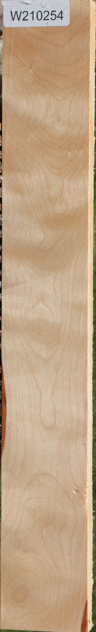 Curly Birch Lumber