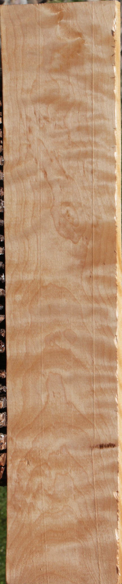 Extra Fancy Curly Birch Lumber