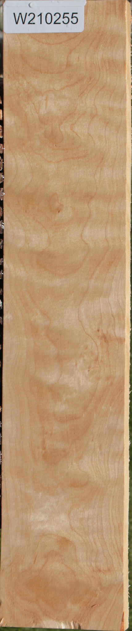 Extra Fancy Curly Birch Lumber