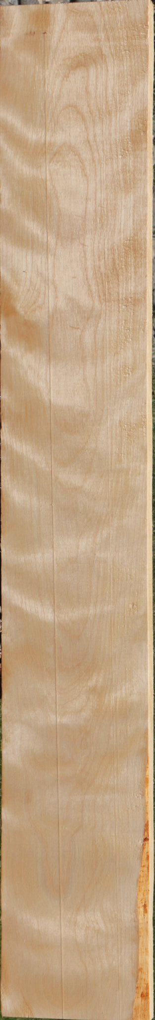 Curly Birch Lumber