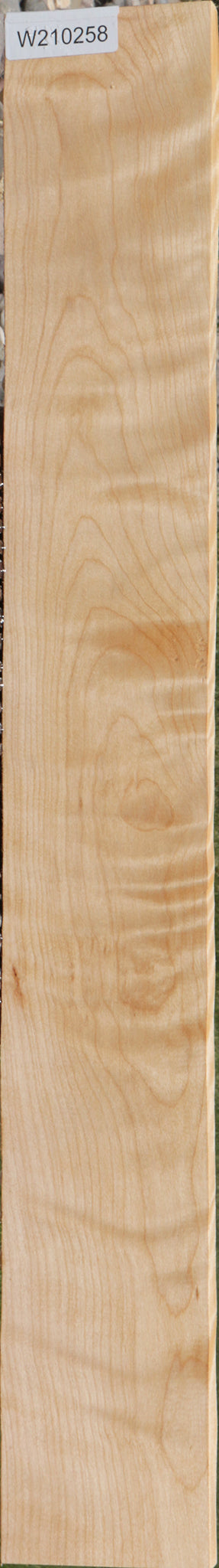 Extra Fancy Curly Birch Lumber