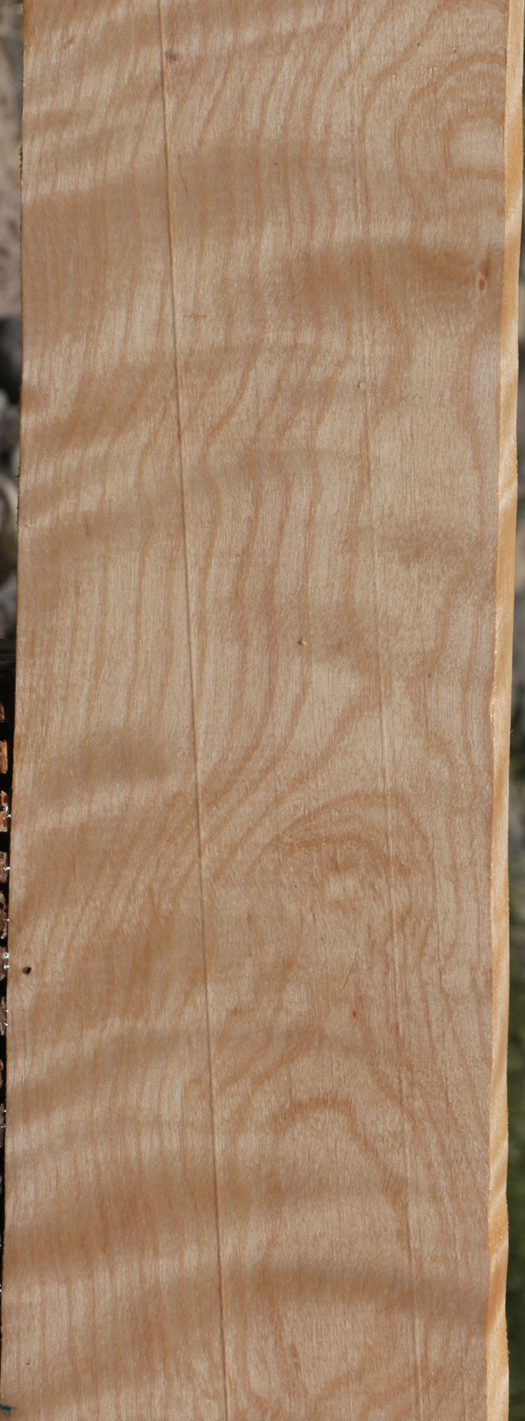 Extra Fancy Curly Birch Lumber