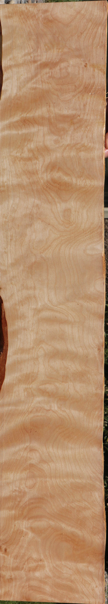 Extra Fancy Curly Birch Lumber