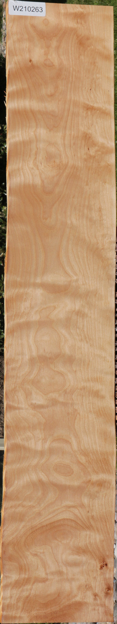 Extra Fancy Curly Birch Lumber