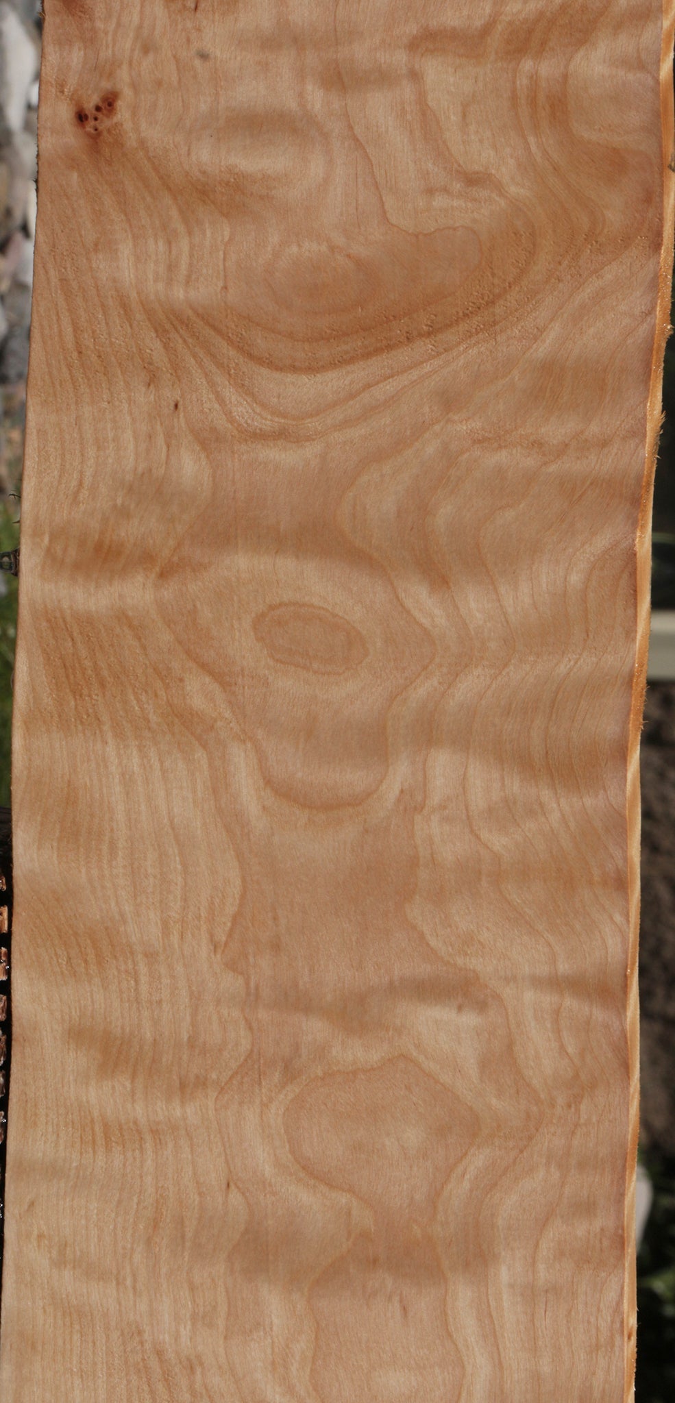 Extra Fancy Curly Birch Lumber